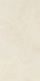 Dorcia Stone Cream Matt 60x120
