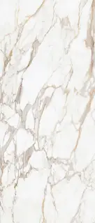 Drac Gold Polished 120x280