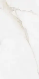 DIAMOND GOLD PULIDO 60X120X10.5