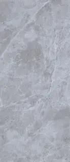 Belgium Grey Polished 120x280