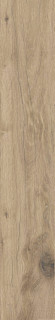 Century Honey Rect Matt 25x150