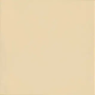 Напольная плитка 1900 Marfil 20x20