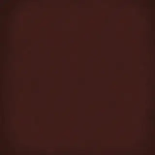 Напольная плитка 1900 Chocolate 20x20