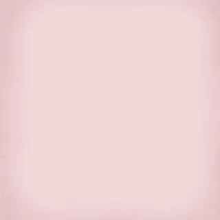 Напольная плитка 1900 Roza 20x20