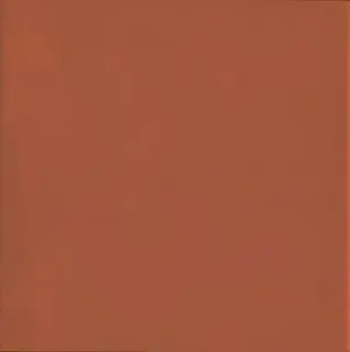 Напольная плитка 1900 Rojizo 20x20