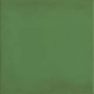 Напольная плитка 1900 Verde 20x20