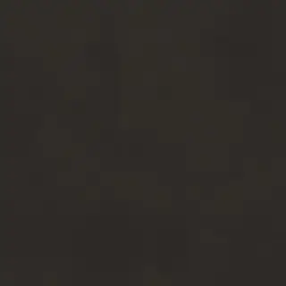 Керамогранит Alameda-R Antracita 20x20