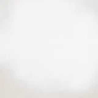 Напольная плитка Barnet Blanco 31.6x31.6