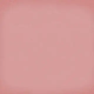 Керамогранит Vodevil Coral 20x20