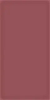 Настенная плитка Corso Burdeos 10x20