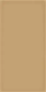 Настенная плитка Corso Caramelo 10x20