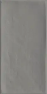 Керамическая плитка Etnia Gris 10x20