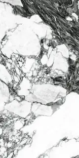 Керамогранит Marblelous Arue-R Pulido 59.3 59.3x119.3