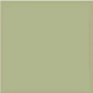 Напольная плитка Musgo 20x20