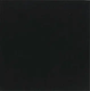 Напольная плитка Negro 20x20