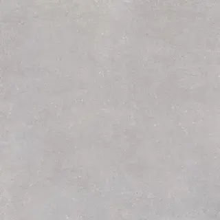 Керамогранит Nassau Nassau-R Gris 120 120x120