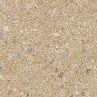 Керамогранит PANGEA Janty-R AB|C Mostaza 59.3 59.3x59.3