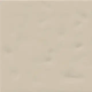 Настенная плитка Paola Beige-B 20x20