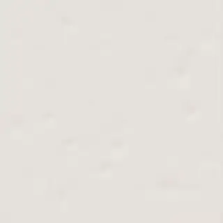 Настенная плитка Paola Blanco-B 20x20