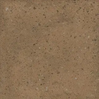 Настенная плитка Root Chipper 13x13