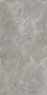 Керамогранит Dedalo Ceniza R 59.3x119.3