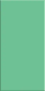 Плитка Rivoli Oliva 10x20