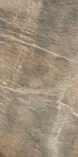 Керамическая плитка FOSSIL BROWN NAT	30x60