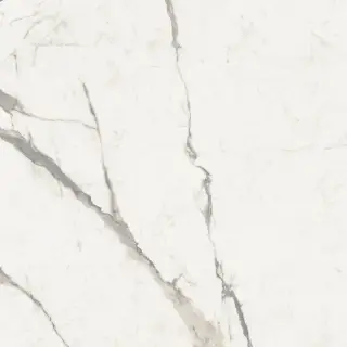 Керамогранит SENSI UP STAT.VERSILIA LUX+	120X120