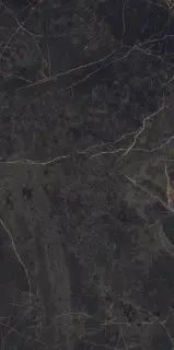 Керамогранит EPOQUE BLACK RET 60X120