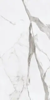 Керамогранит EPOQUE WHITE STATUARIO RET 60X120