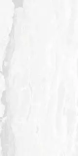 Керамическая плитка BALMORAL   LAPP RETT 60Х120