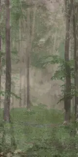 Керамическая плитка W&S D WOODS B 120x240