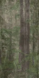 Керамическая плитка W&S D WOODS C 120x240