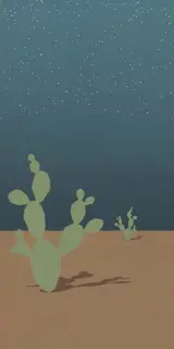 Керамическая плитка W&S D+ ARIZONA B 120x240