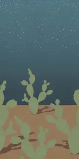 Керамическая плитка W&S D+ ARIZONA C 120x240