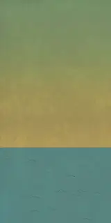 Керамическая плитка W&S D+ BALLOON A 160X320