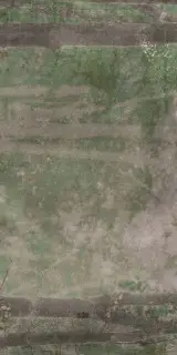 Керамическая плитка W&S D CP4 WOODS B  120X240