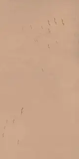 Керамическая плитка W&S D CP4 COUNTRY A 120X240