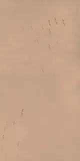 Керамическая плитка W&S D CP4 COUNTRY B  120х240