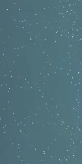 Керамическая плитка W&S D CP4 ARIZONA B 120X240