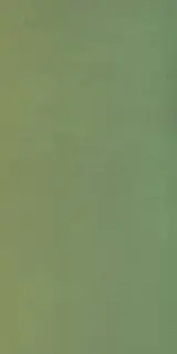 Керамогранит  W&S D+ CP4 BALLOON A  120X240