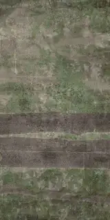 Керамическая плитка  W&S D+ CP4 WOODS C