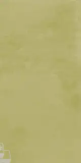 Керамическая плитка  W&S D+ CP4 METROPOLE LIME    120X240