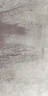 Керамогранит  W&S D+  CP4 BOTANICAL GREY B  120X240