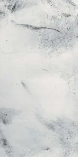 Керамическая плитка  W&S D+ CP4 STREET B WHITE  120X240