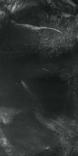 Керамическая плитка  W&S D+ CP4 STREET B  BLACK  120X240