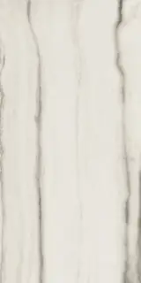 Керамогранит PREXIOUS REX WHITE FANTASY MAT 60X120 R