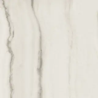 Керамогранит PREXIOUS REX WHITE FANTASY MAT 10MM 80X80 R