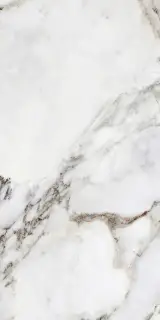 Керамогранит BIJOUX BRECHE CAPRAIA MATTE  60x120RETT