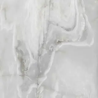 Керамогранит ONYX&MORE SILVER ONYX SAT RET	60x60